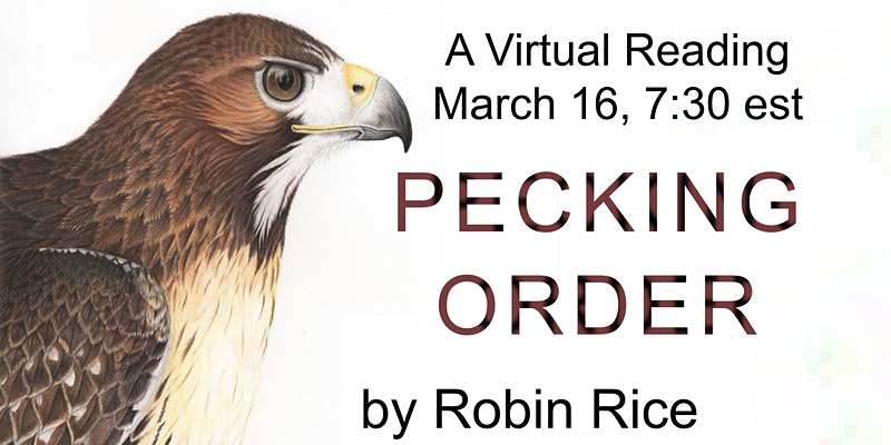 Pecking Order by Robin Flyer Rice