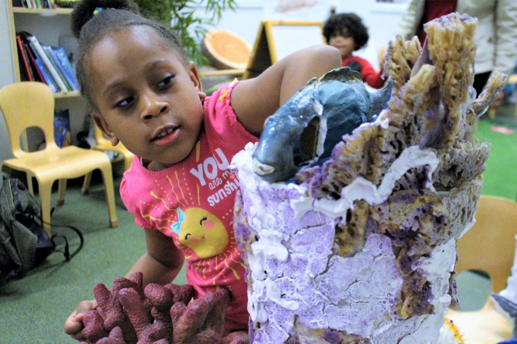 Hands on: a child explores a model of a coral reef in the museum classroom.